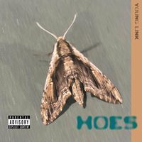 young link - hoes (Explicit)