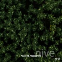 nive - Ancient Algorithms