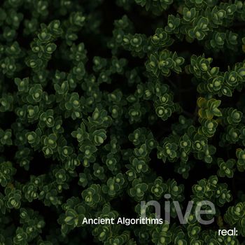 nive - Ancient Algorithms