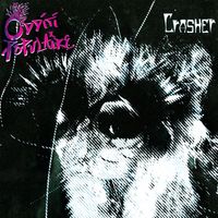Crasher - Stories