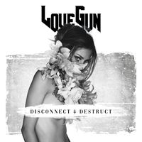 LoveGun - Disconnect Destruct