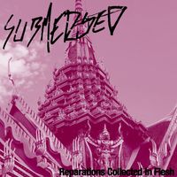 Submerged - Reparations Collected In Flesh (Explicit)