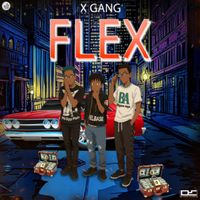 X Gang - Tropa Do Flex (Remix [Explicit])