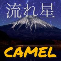 CAMEL - 流れ星