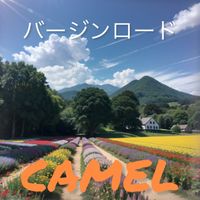 CAMEL - バ－ジンロ－ド