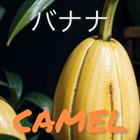 CAMEL - バナナ