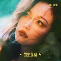 陈婧霏 - 岩中花述