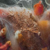 Shields - Kill (Explicit)