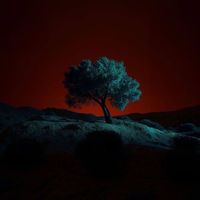 FROST - FUOCO FATUO