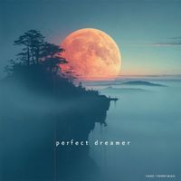 Ingo Herrmann - Perfect Dreamer
