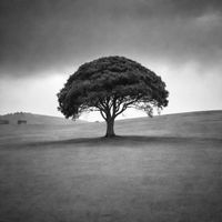 truly - wind blows cold (Explicit)