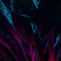 niko - Germination