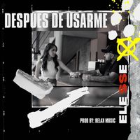 Elesse - Despues de Usarme