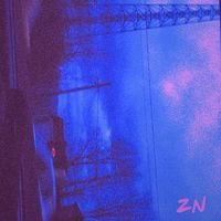 V - ZN