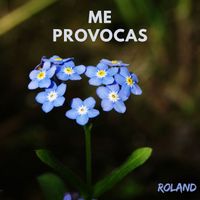 ROLAND - Me Provocas