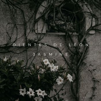 Dientes de León - Jasmine