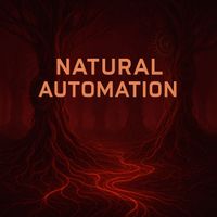 Alex Hermann - Natural Automation