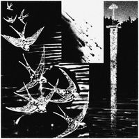 sparrows - swallow/stardust (Explicit)