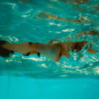 GRETA - Sonne und Schmerz (Explicit)