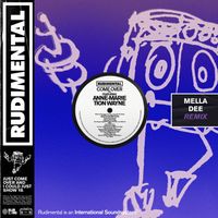 Rudimental - Come Over (feat. Anne-Marie & Tion Wayne) (Mella Dee Extended Remix)
