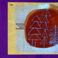 The Pastels - The Last Great Wilderness