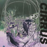CIRRUS - Two Many Faces