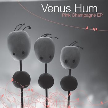 Venus Hum - Pink Champagne