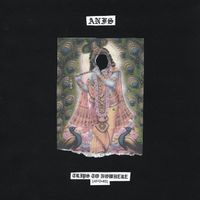 ANFS - Trips To Nowhere