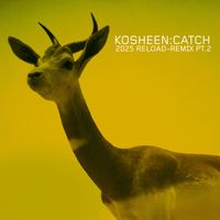Kosheen - Catch (2025 Reload-Remix, Pt.2)
