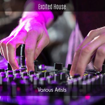 Various Artists - Excited House (Explicit)