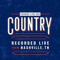 Blake Shelton - Sounds Like You: Nashville 2017 (Live)