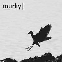 Murky - Birds Don't Work (Explicit)