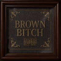 Dipper - Brown Bitch (Explicit)