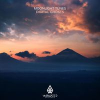 Moonlight Tunes - Digital Ghosts