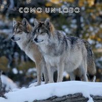 Jmp - Como Un Lobo (Explicit)
