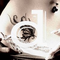 d - Butterfly