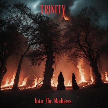 Trinity - into The Madness