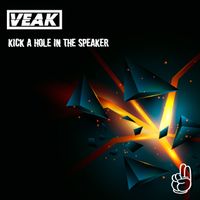 Veak - Kick A Hole In The Speaker