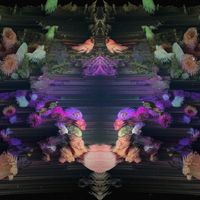 endless - Skinnydip