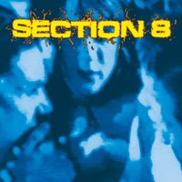 Section 8 - Section 8