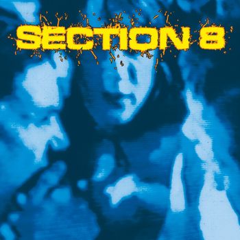 Section 8 - Section 8