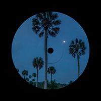 MANOR - hoop