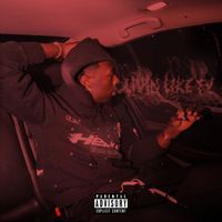 Woo - Livin' Like Ty (Explicit)