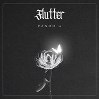 Pando G - Flutter