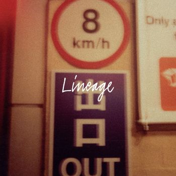 dBridge - Lineage
