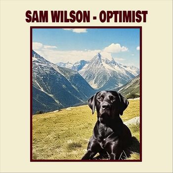 Sam Wilson - Optimist