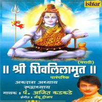 Ajit Kadkade - Shree Shivlilamrut