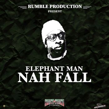 Elephant Man - Nah Fall (Explicit)