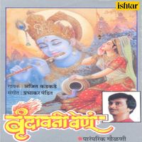 Ajit Kadkade - Vrundawani Venu