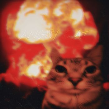 CASPER - ANGRY CAT